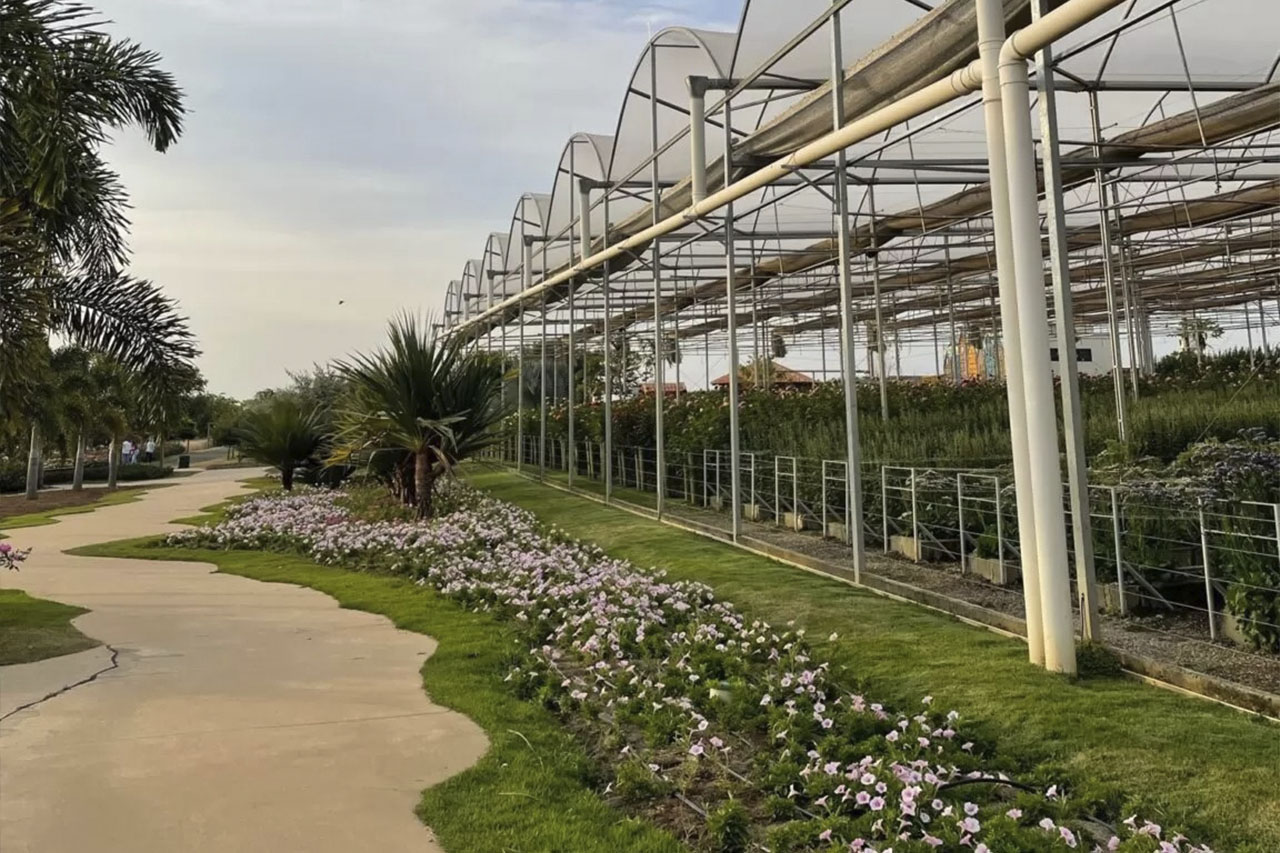 Bloemen Park